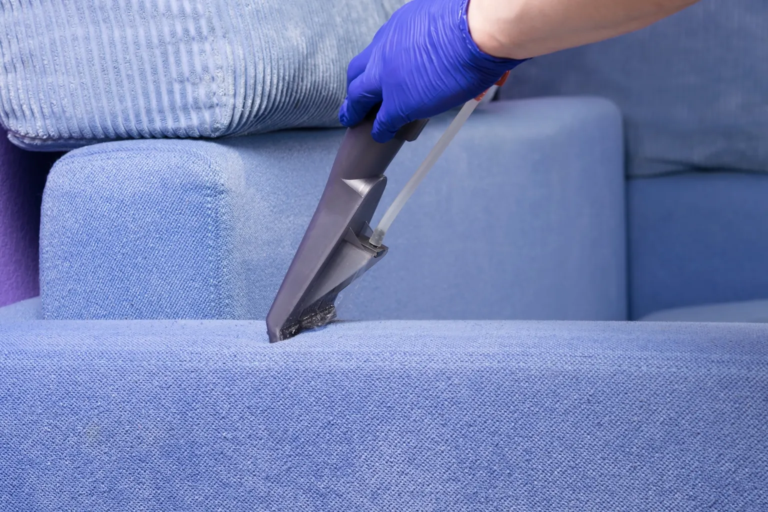 Mão com luva azul higienizando sofá azul com extratora, etapa que vem antes da impermeabilização